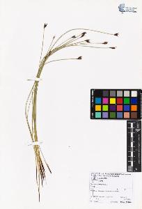 SW_BNB_s3070-06784_IMG-0000000001