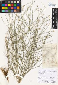 SW_BNB_s3070-06786_IMG-0000000001