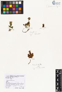 SW_BNB_s3070-06787_IMG-0000000001