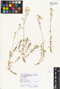 SW_BNB_s3070-06788_IMG-0000000001