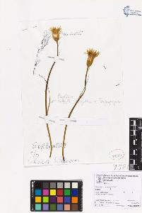 SW_BNB_s3070-06789_IMG-0000000001