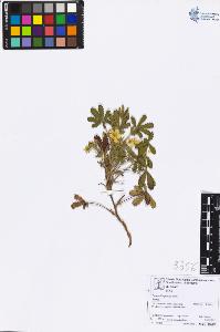 SW_BNB_s3070-06794_IMG-0000000001