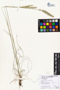 SW_BNB_s3070-06799_IMG-0000000001