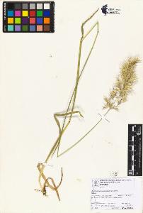 SW_BNB_s3070-06802_IMG-0000000001