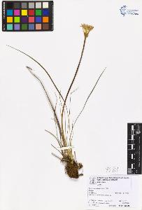 SW_BNB_s3070-06806_IMG-0000000001