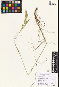 SW_BNB_s3070-06807_IMG-0000000001