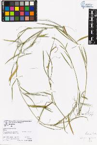 SW_BNB_s3070-06811_IMG-0000000001