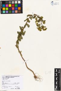 SW_BNB_s3070-06820_IMG-0000000001