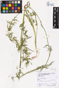 SW_BNB_s3070-06823_IMG-0000000001