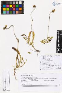 SW_BNB_s3070-06834_IMG-0000000001