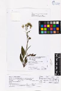 SW_BNB_s3070-06839_IMG-0000000001