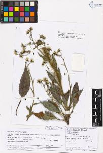 SW_BNB_s3070-06840_IMG-0000000001