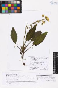 SW_BNB_s3070-06841_IMG-0000000001