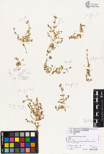 SW_BNB_s3070-06842_IMG-0000000001