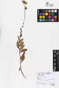 SW_BNB_s3070-06844_IMG-0000000001