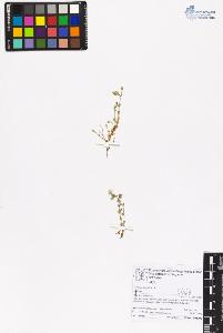 SW_BNB_s3070-06849_IMG-0000000001