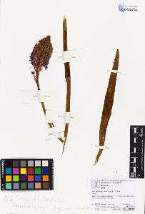 SW_BNB_s3070-06853_IMG-0000000001
