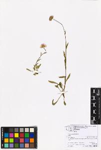 SW_BNB_s3070-06857_IMG-0000000001