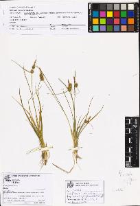 SW_BNB_s3070-06860_IMG-0000000001