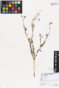SW_BNB_s3070-06861_IMG-0000000001