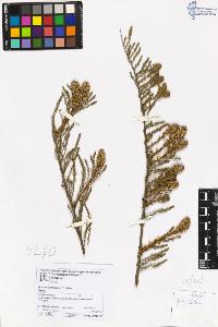 SW_BNB_s3070-06867_IMG-0000000001
