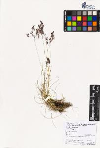 SW_BNB_s3070-06869_IMG-0000000001