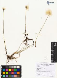 SW_BNB_s3070-06870_IMG-0000000001