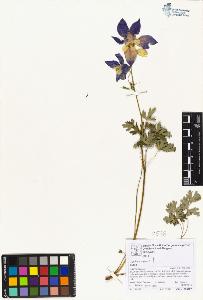 SW_BNB_s3070-06872_IMG-0000000001