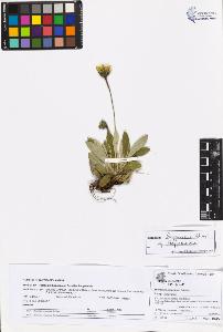 SW_BNB_s3070-06877_IMG-0000000001