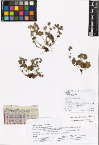 SW_BNB_s3070-06884_IMG-0000000001