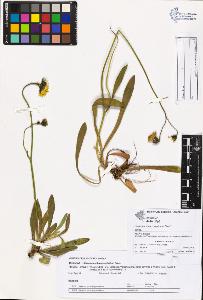 SW_BNB_s3070-06890_IMG-0000000001