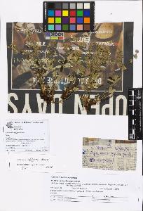 SW_BNB_s3070-06897_IMG-0000000001