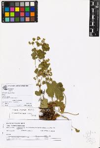 SW_BNB_s3070-06905_IMG-0000000001