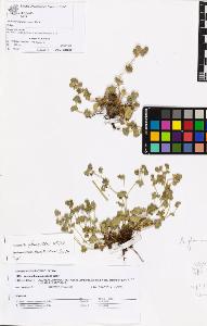 SW_BNB_s3070-06907_IMG-0000000001