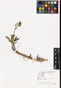 SW_BNB_s3070-06922_IMG-0000000001