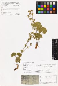 SW_BNB_s3070-06923_IMG-0000000001