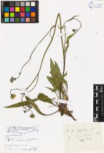 SW_BNB_s3070-06927_IMG-0000000001