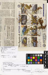SW_BNB_s3070-06935_IMG-0000000001