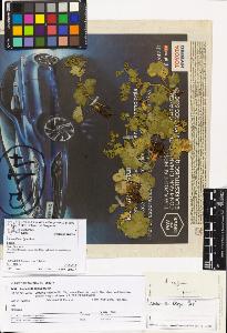 SW_BNB_s3070-06937_IMG-0000000001