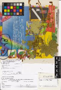 SW_BNB_s3070-06938_IMG-0000000001