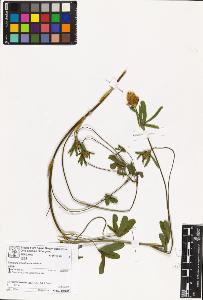 SW_BNB_s3070-06940_IMG-0000000001