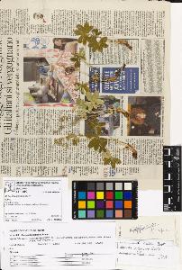 SW_BNB_s3070-06945_IMG-0000000001