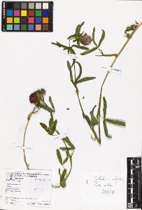 SW_BNB_s3070-06948_IMG-0000000001