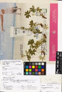 SW_BNB_s3070-06949_IMG-0000000001
