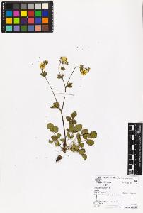SW_BNB_s3070-06953_IMG-0000000001