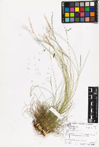 SW_BNB_s3070-06954_IMG-0000000001
