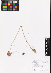 SW_BNB_s3070-06961_IMG-0000000001