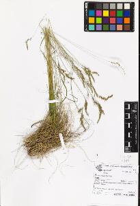 SW_BNB_s3070-06962_IMG-0000000001