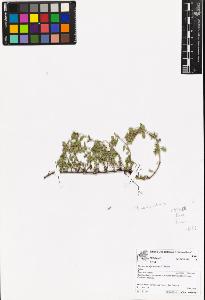 SW_BNB_s3070-06964_IMG-0000000001