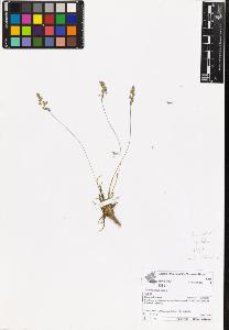 SW_BNB_s3070-06965_IMG-0000000001